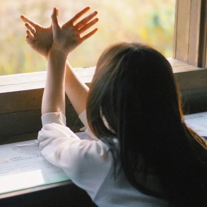 天堂岛疑云：圣诞特辑2022