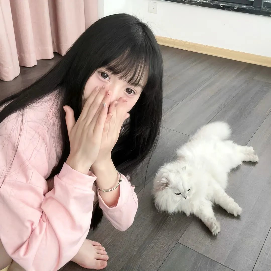 灵书妙探第五季